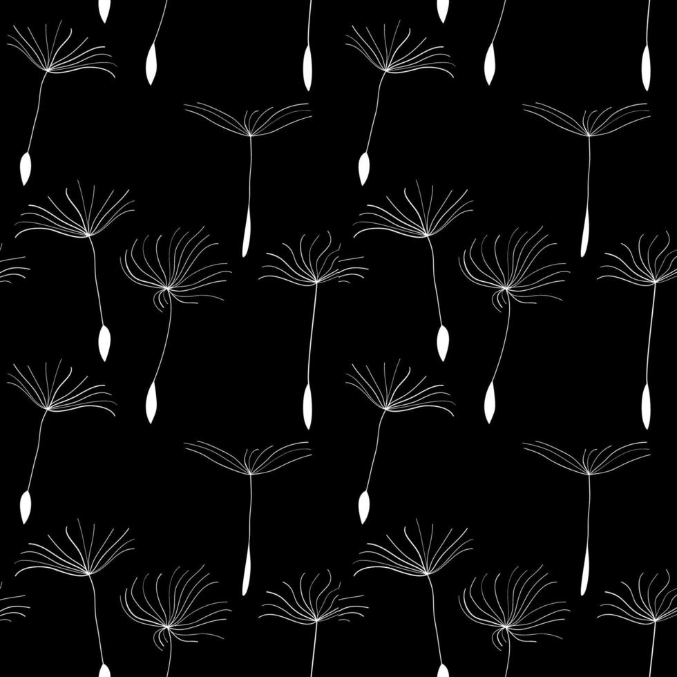 White dandelion seeds on black background vector