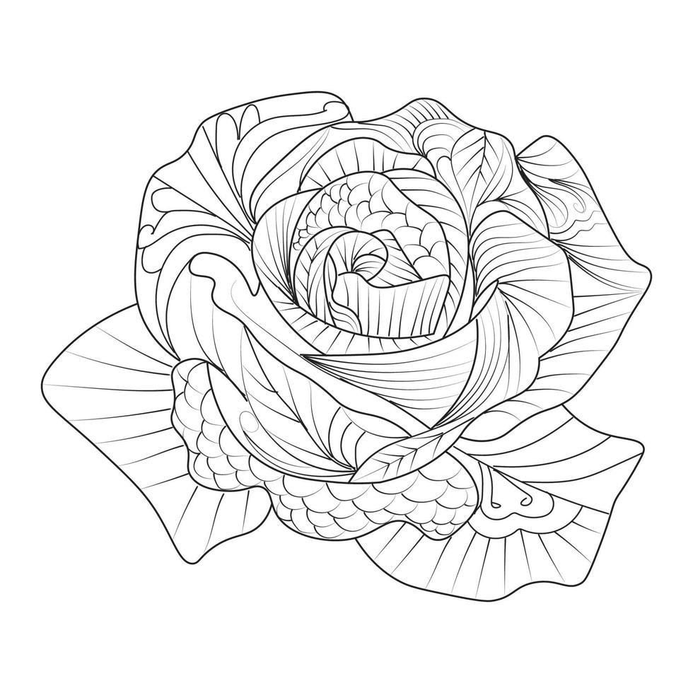 flowers rose zentangle coloring page with decorative easy sketches design illustration vector