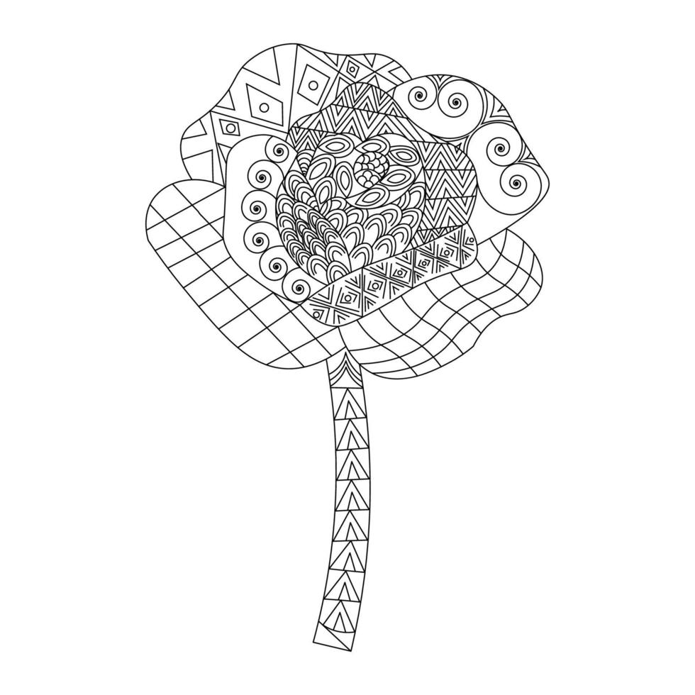 flowers rose zentangle coloring page with decorative easy sketches design illustration vector
