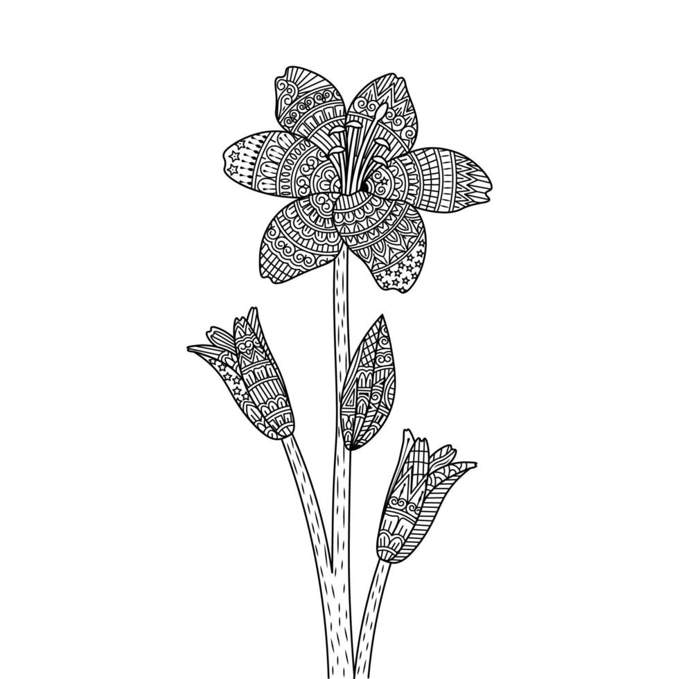 coloring page of decorative flower line art sketch of outline design on isolated white background vector