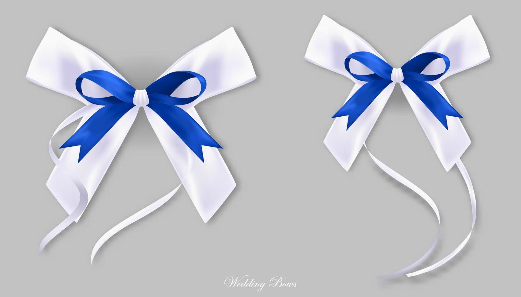 Gift blue white silk bows vector