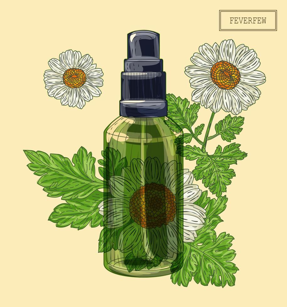 Feverfew branch and green glass sprayer vector