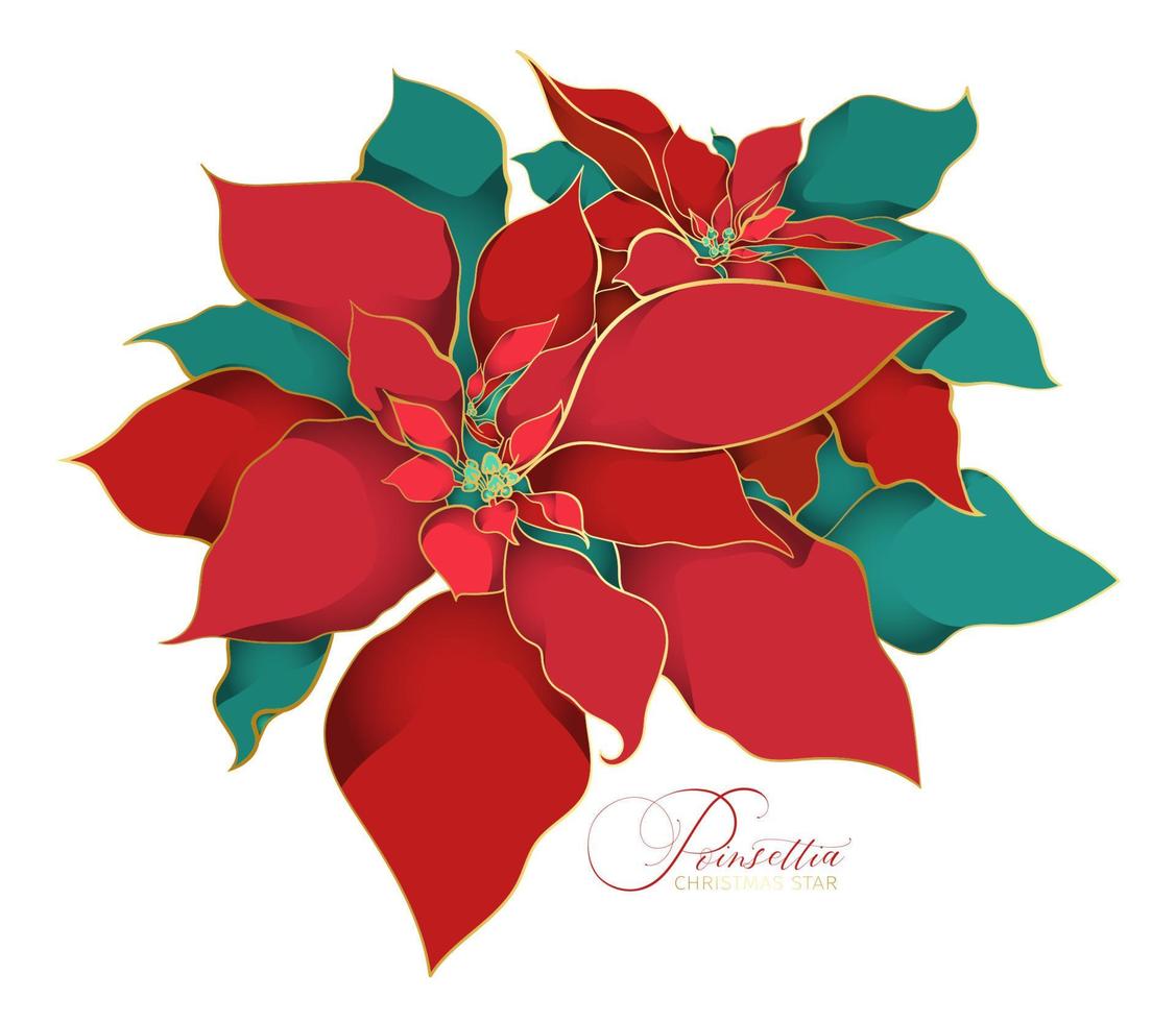 Red green poinsettia branch with two flowers in an Asian decorative style vector