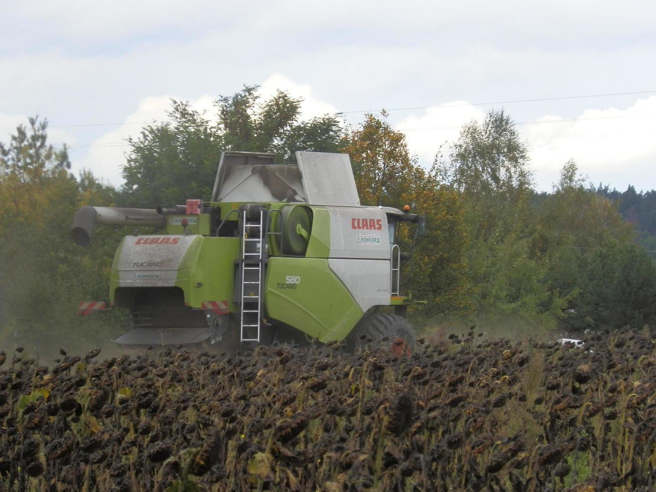 KYIV OBLAST, UKRAINE - OCTOBER 02, 2022 Combine harvester mows and harvests photo