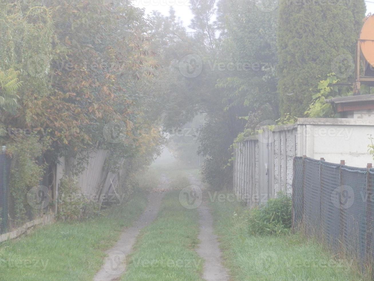 Autumn morning mist in the village photo