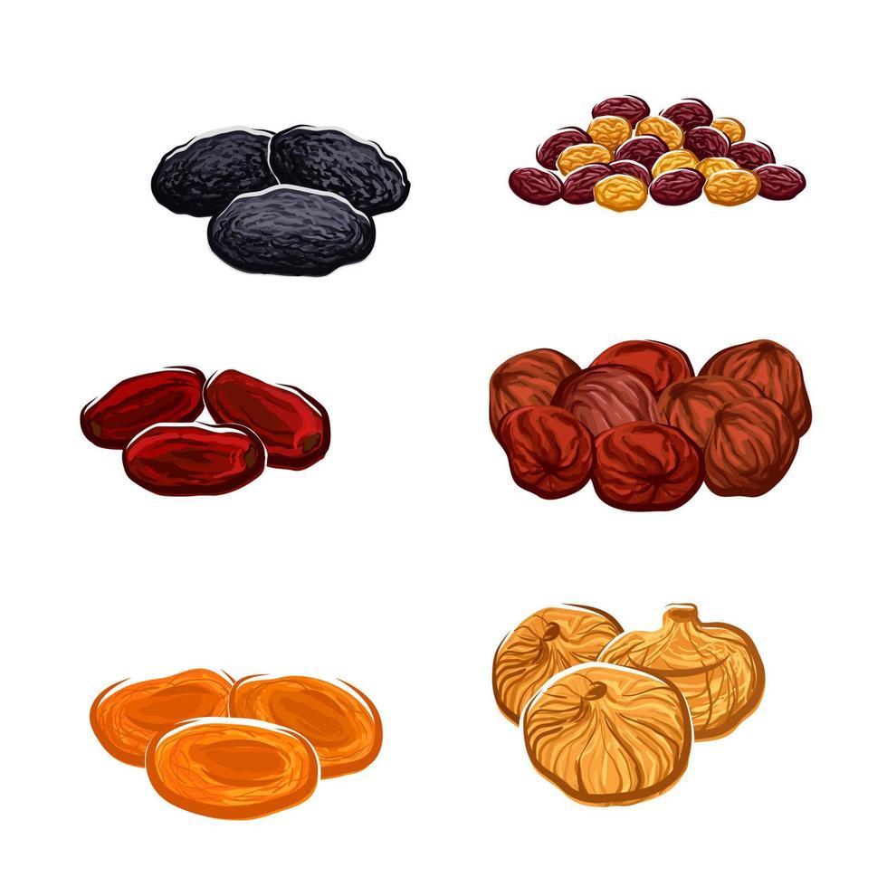 Dried fruits or berries isolated vector icons