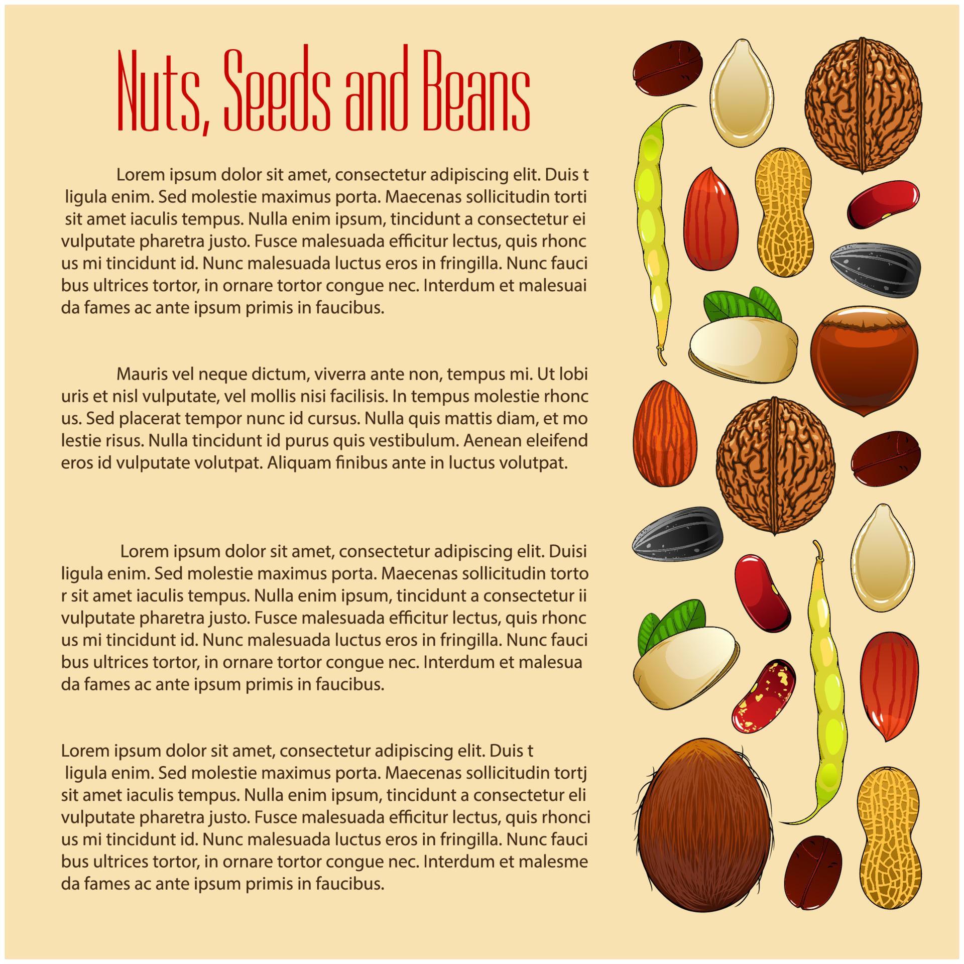 Nuts, seeds and beans nutrition vector poster 12703221 Vector Art at