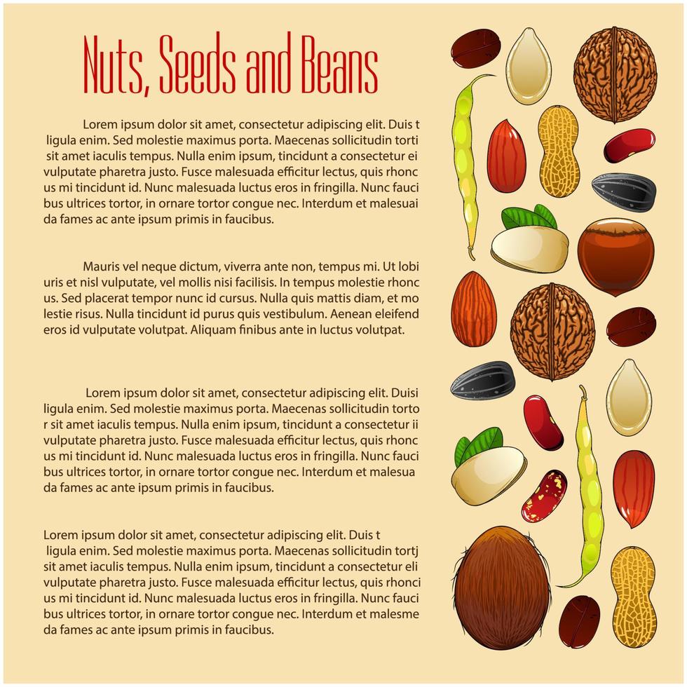 cartel de vector de nutrición de nueces, semillas y frijoles