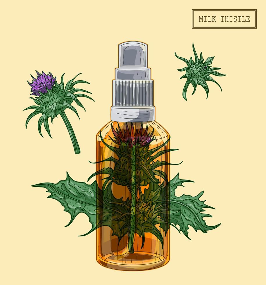 Medical milk thistle cloves and sprayer vector