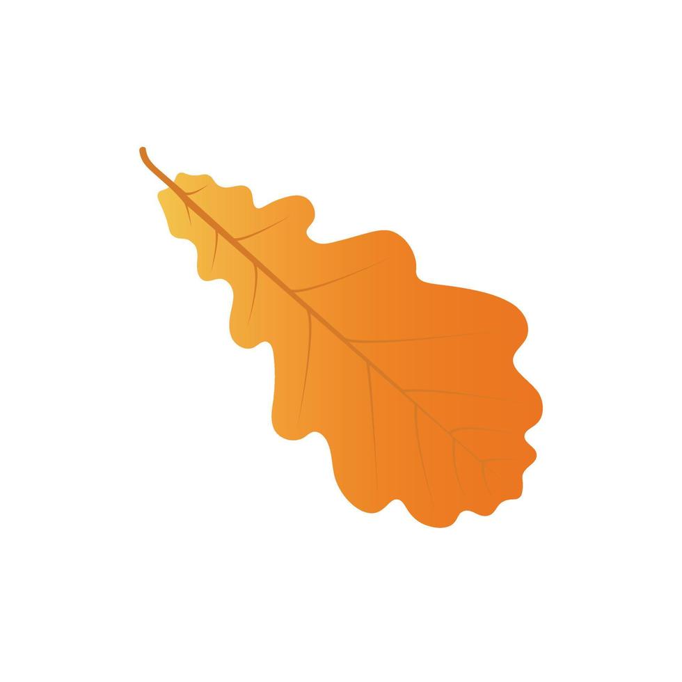 Autumn oak leaf vector
