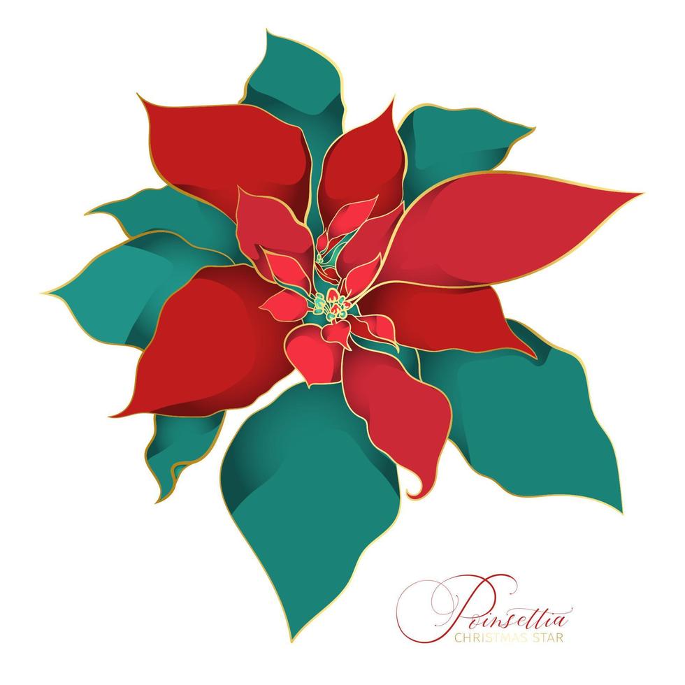 flor de navidad de flor de pascua verde roja en un estilo decorativo asiático vector