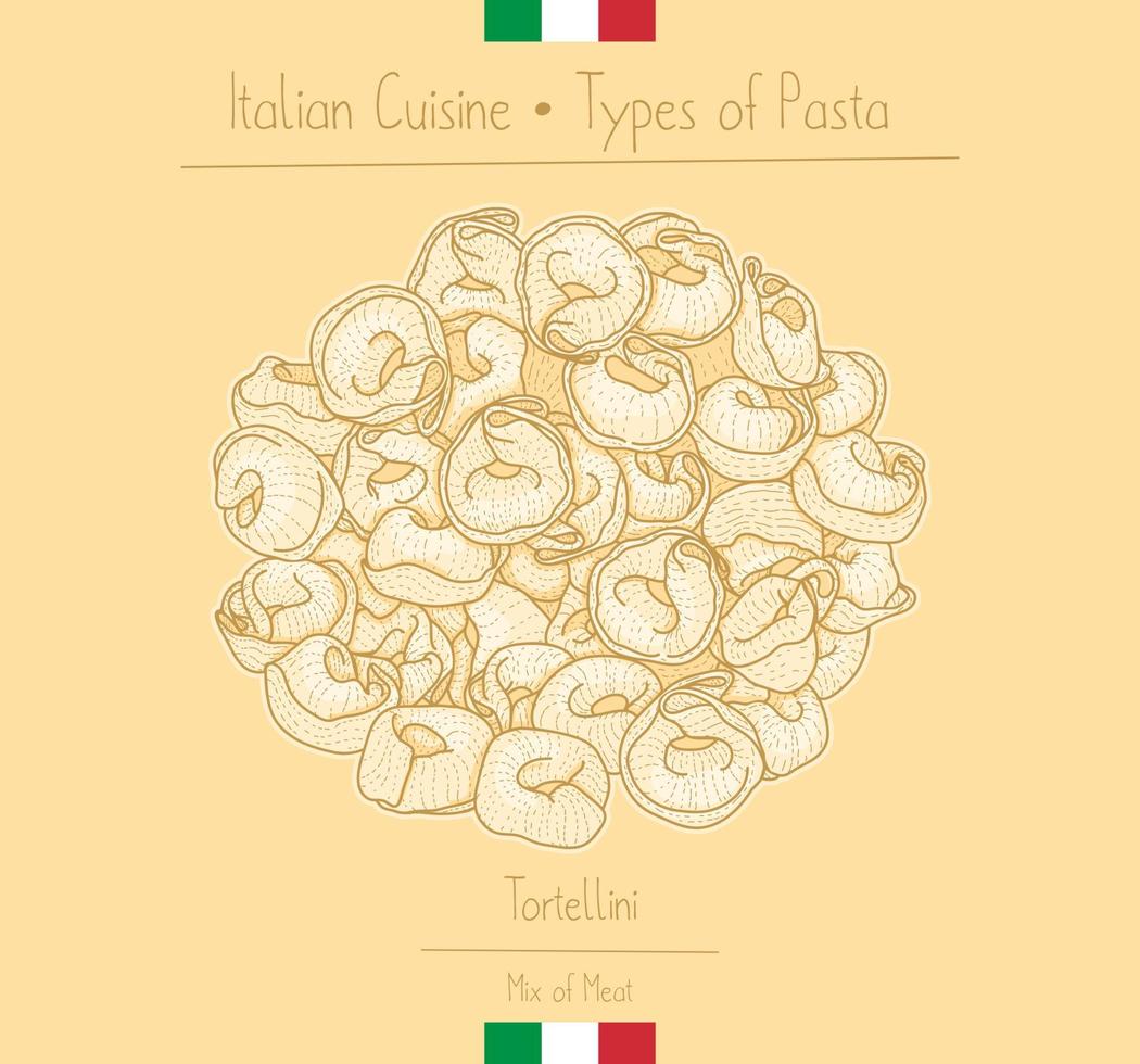 Italian Food Pasta with Filling aka Tortellini vector