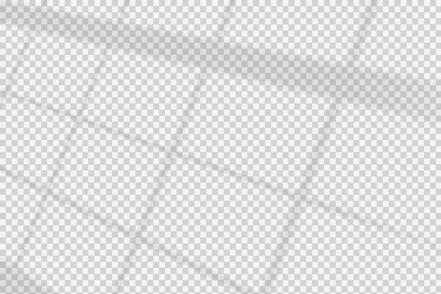 Window shadow vector overlay on transparent background. Natural scene of realistic soft lighting.