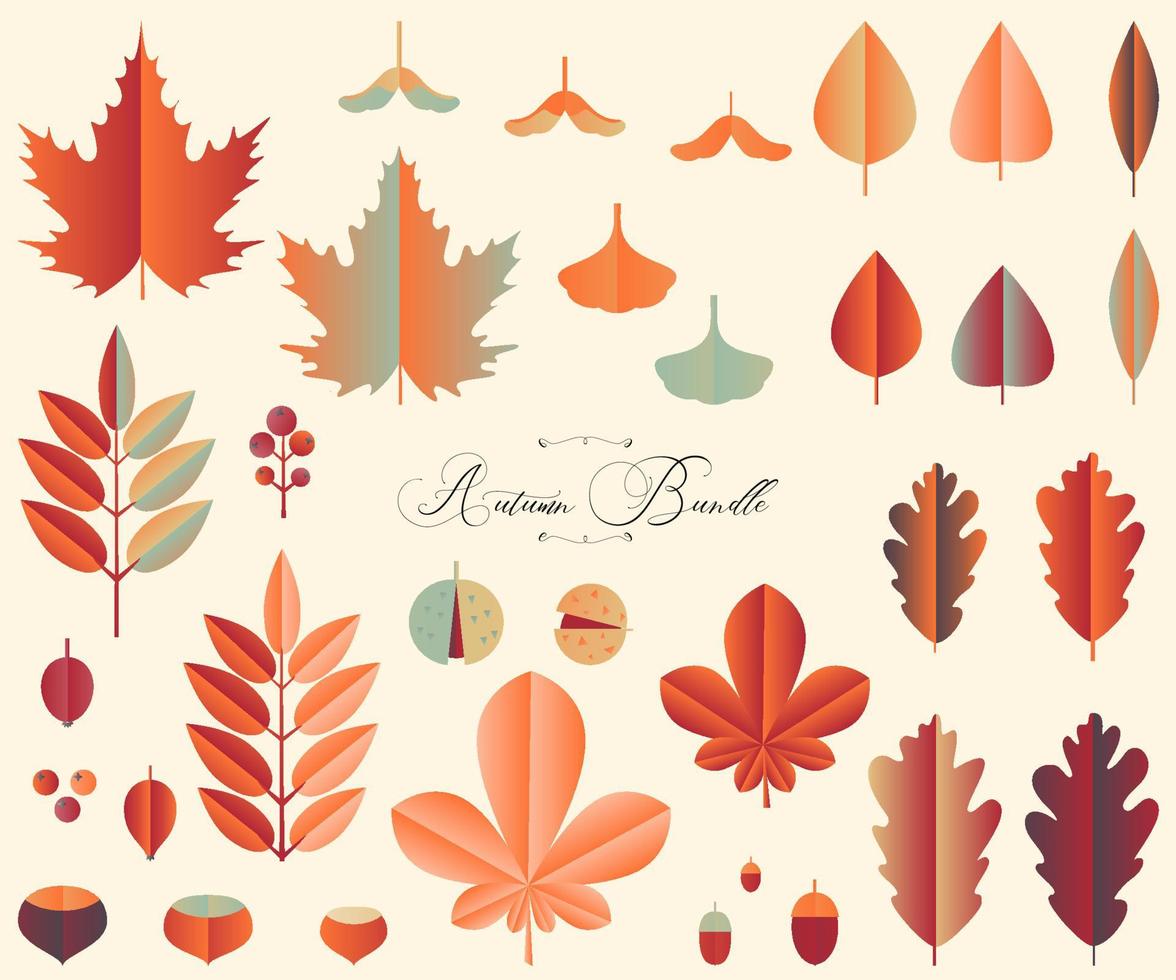 Autumn leaves and fruits in papercut design vector