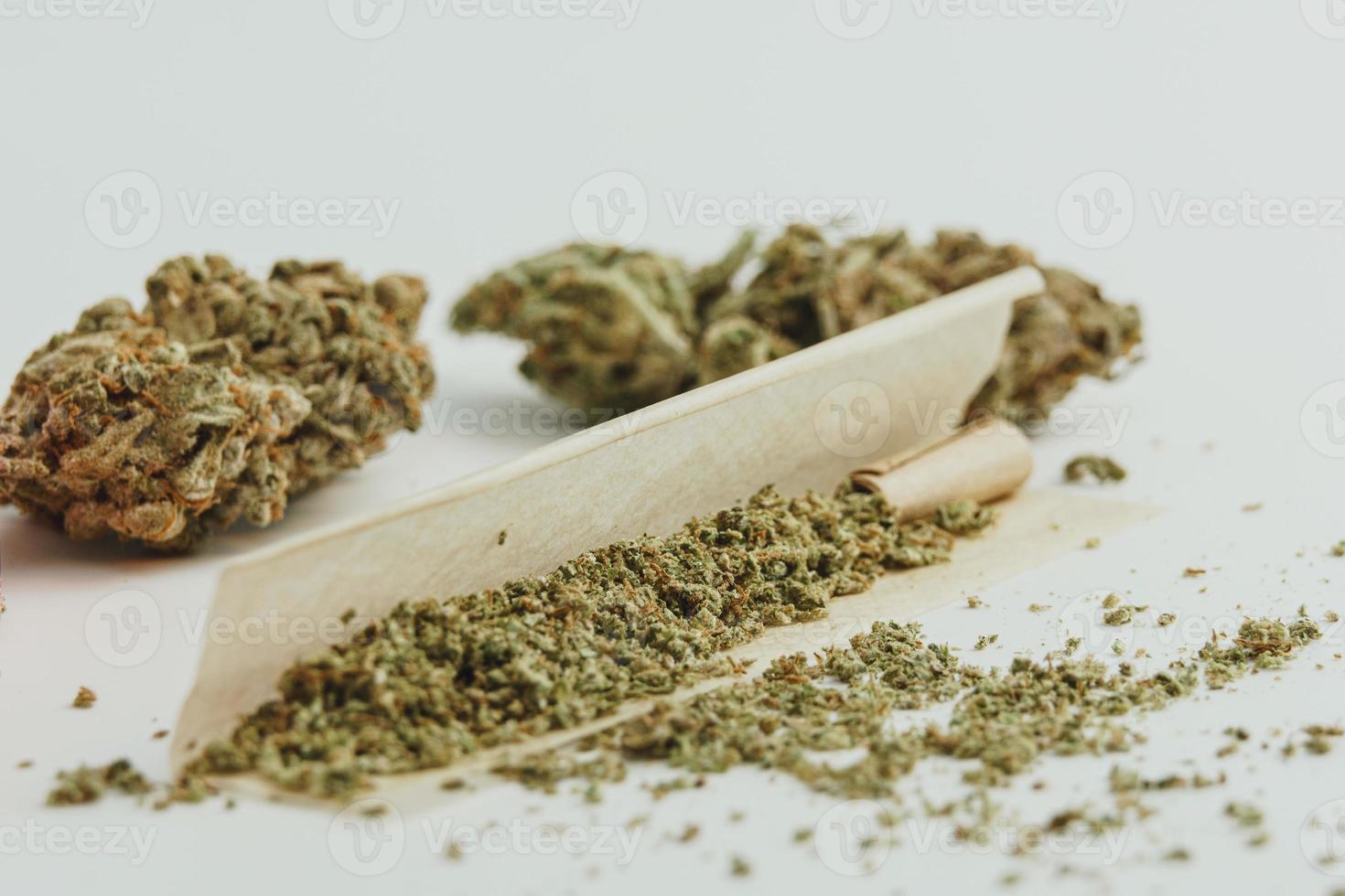 Marijuana buds on white background, close up. photo