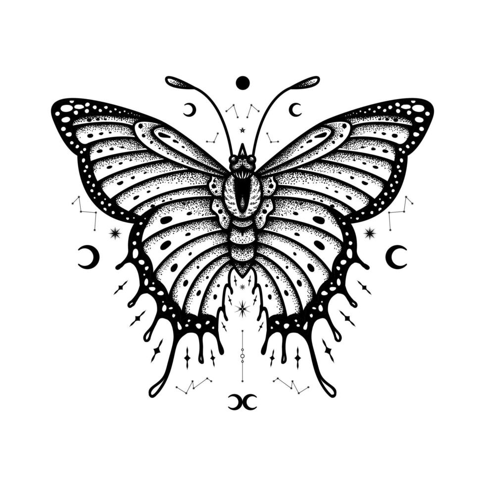 Butterfly Vector Illustration