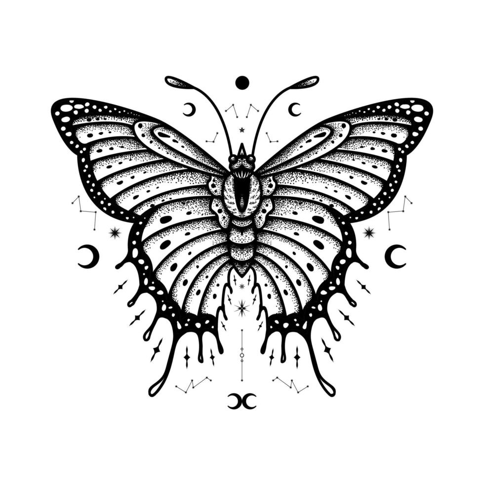 Butterfly Vector Illustration