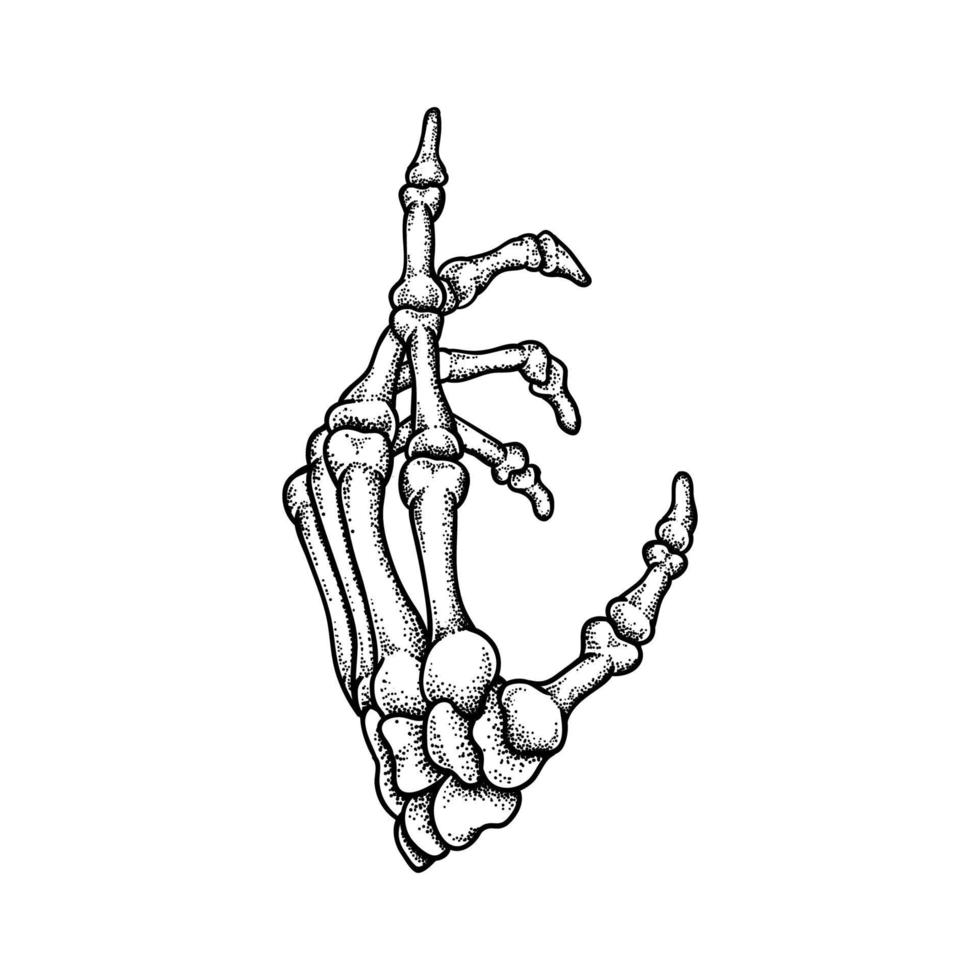 ilustración de huesos de la mano vector