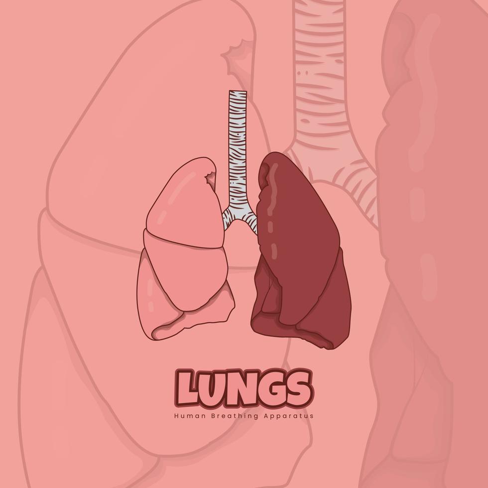 pulmones en diseño de dibujos animados para plantilla de salud en diseño de fondo rosa vector