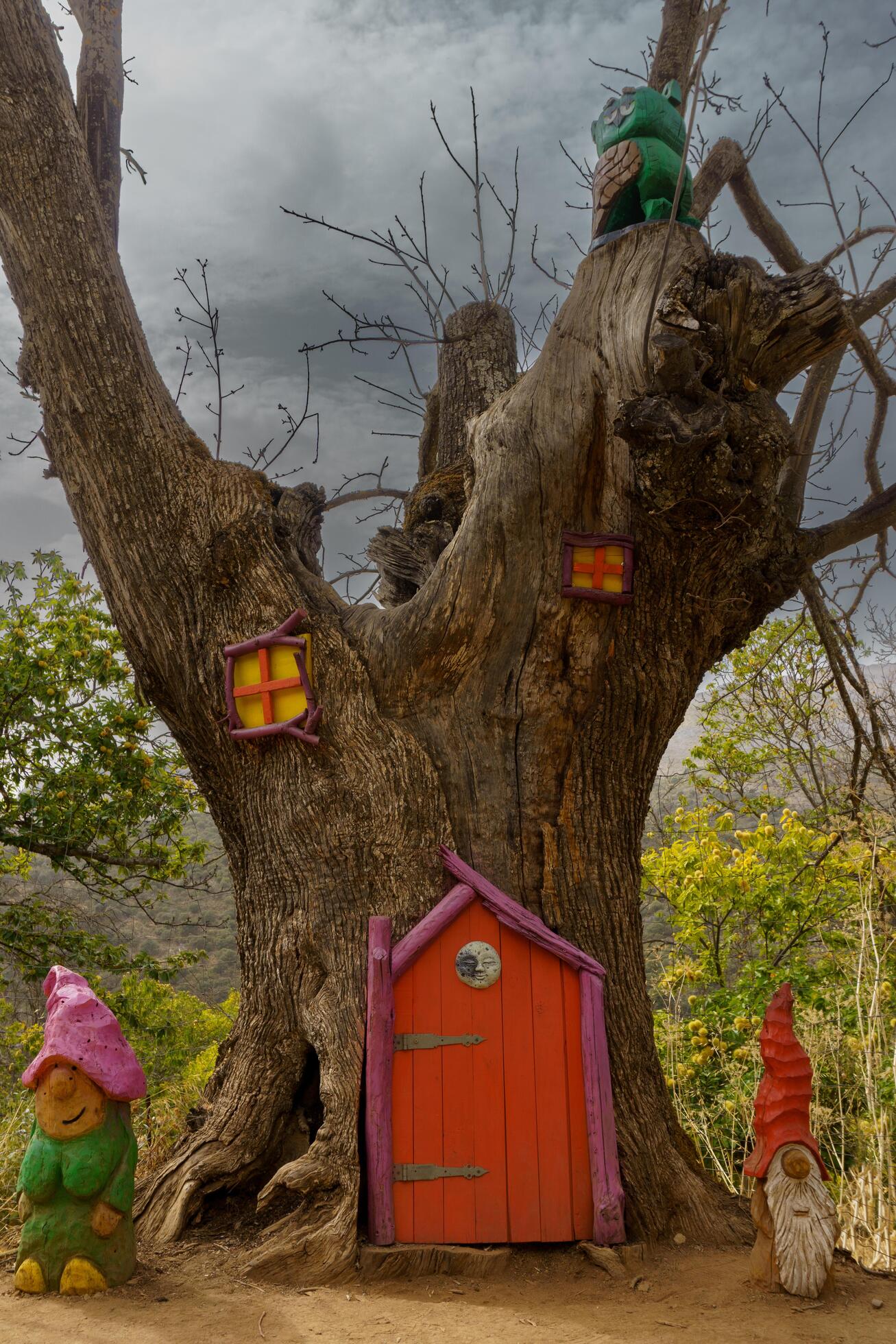 10,03,2022 parauta,malaga , ruta de senderismo por el bosque encantado