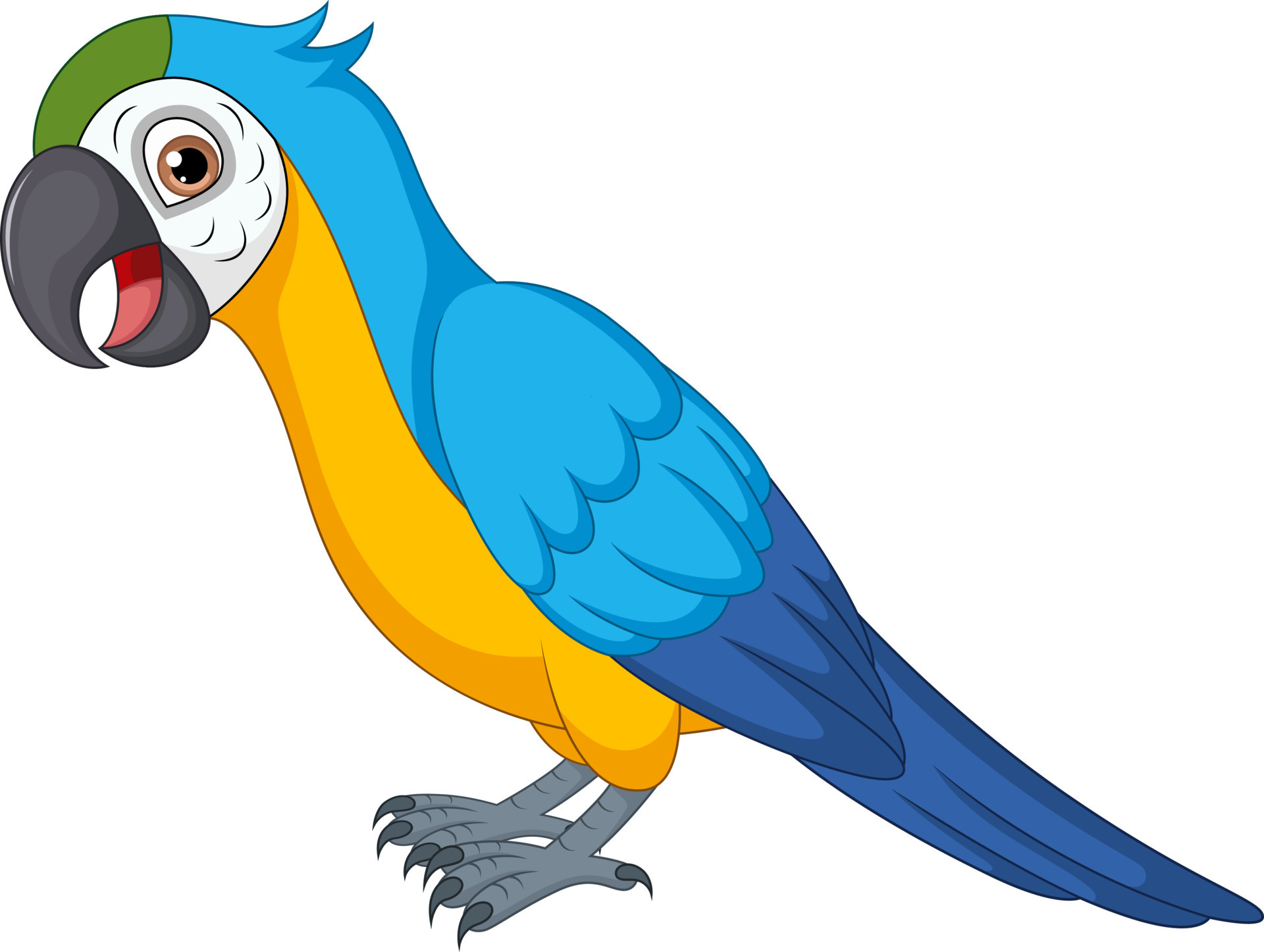 Cute macaw cartoon on white background 12706903 Vector Art at Vecteezy Cute macaw cartoon on white background 12706903 Vector Art at Vecteezy