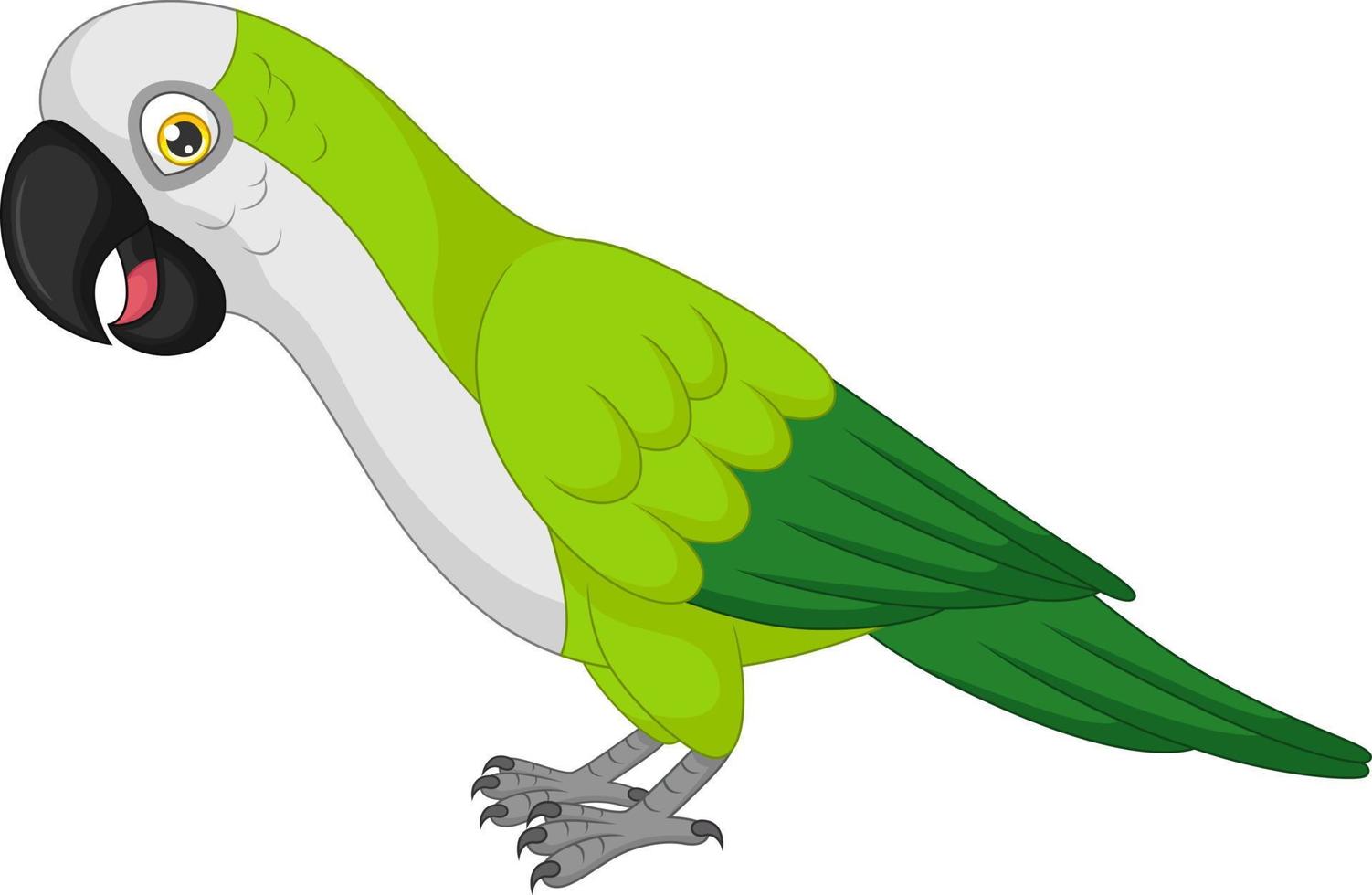 lindo, guacamayo, caricatura, blanco, plano de fondo vector