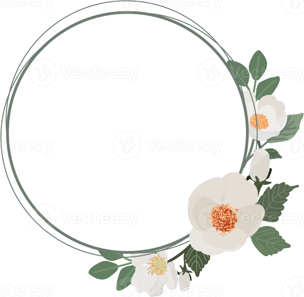 white camellia flower bouquet wreath frame png