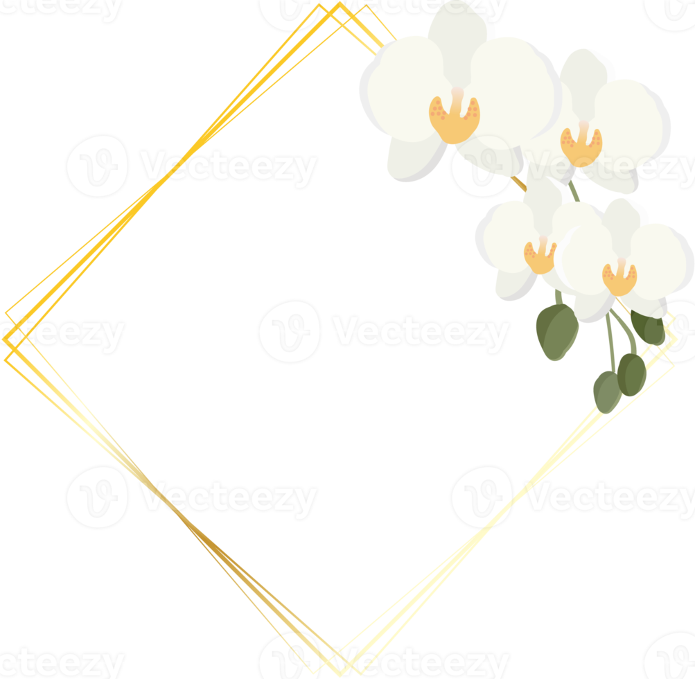 minimal flat style white Phalaenopsis orchid wreath with golden frame png