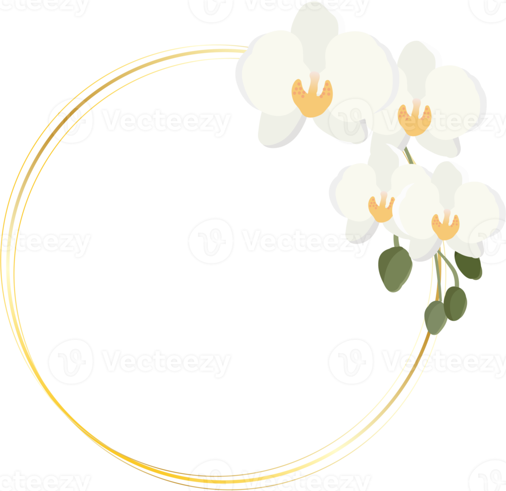 minimal flat style white Phalaenopsis orchid wreath with golden frame png