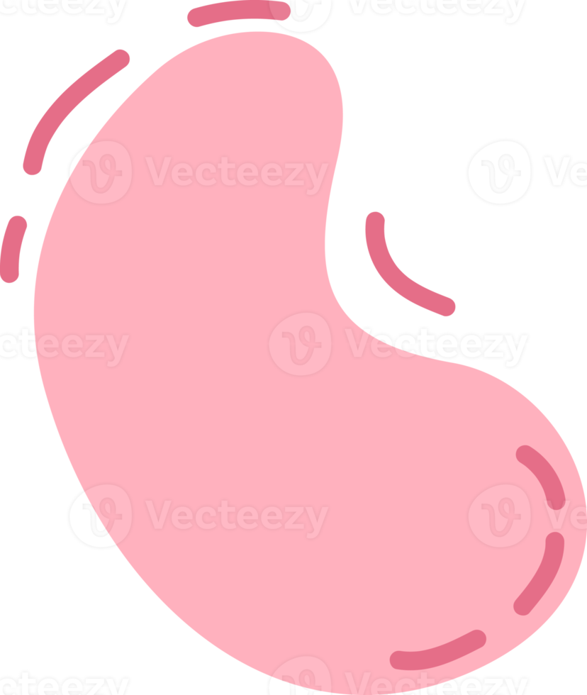 Line art. Abstract fun design with pink color. pink pastel tone. png