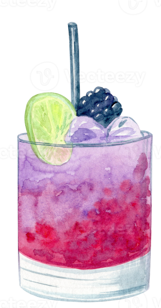 watercolor hand drawn purple fresh fruit cocktail with lime isolated on white background png