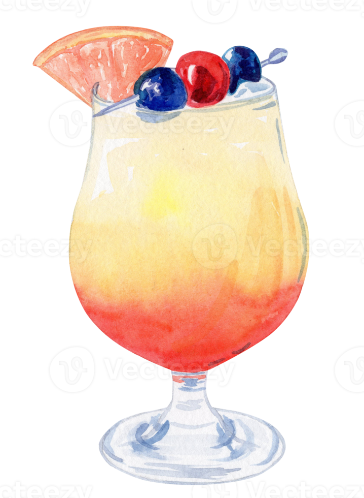 Cóctel de naranja tropical de frutas dibujadas a mano con color de agua con decoración de rodajas de pomelo aislado en fondo blanco. tequila amanecer bebida alcohólica png