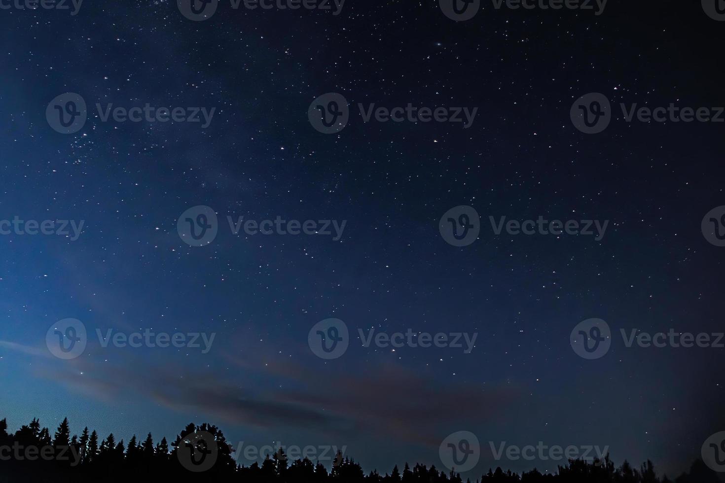 Night starry sky over forest. Tree silhouettes against  backdrop of stars. photo