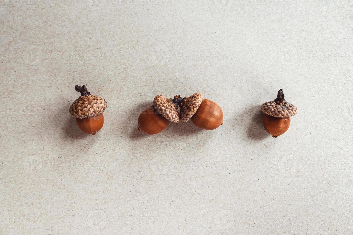 Acorns on brown paper for minimalist fall background, autumn flat lay photo