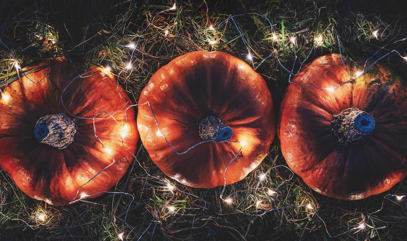 calabazas decoradas con luces de hadas, decoración de noche de vacaciones de otoño foto