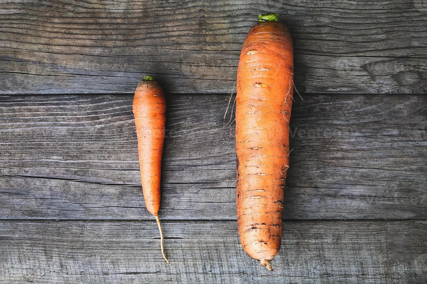 Big and small carrots, size matters concept, self esteem, self confidence and size issue photo