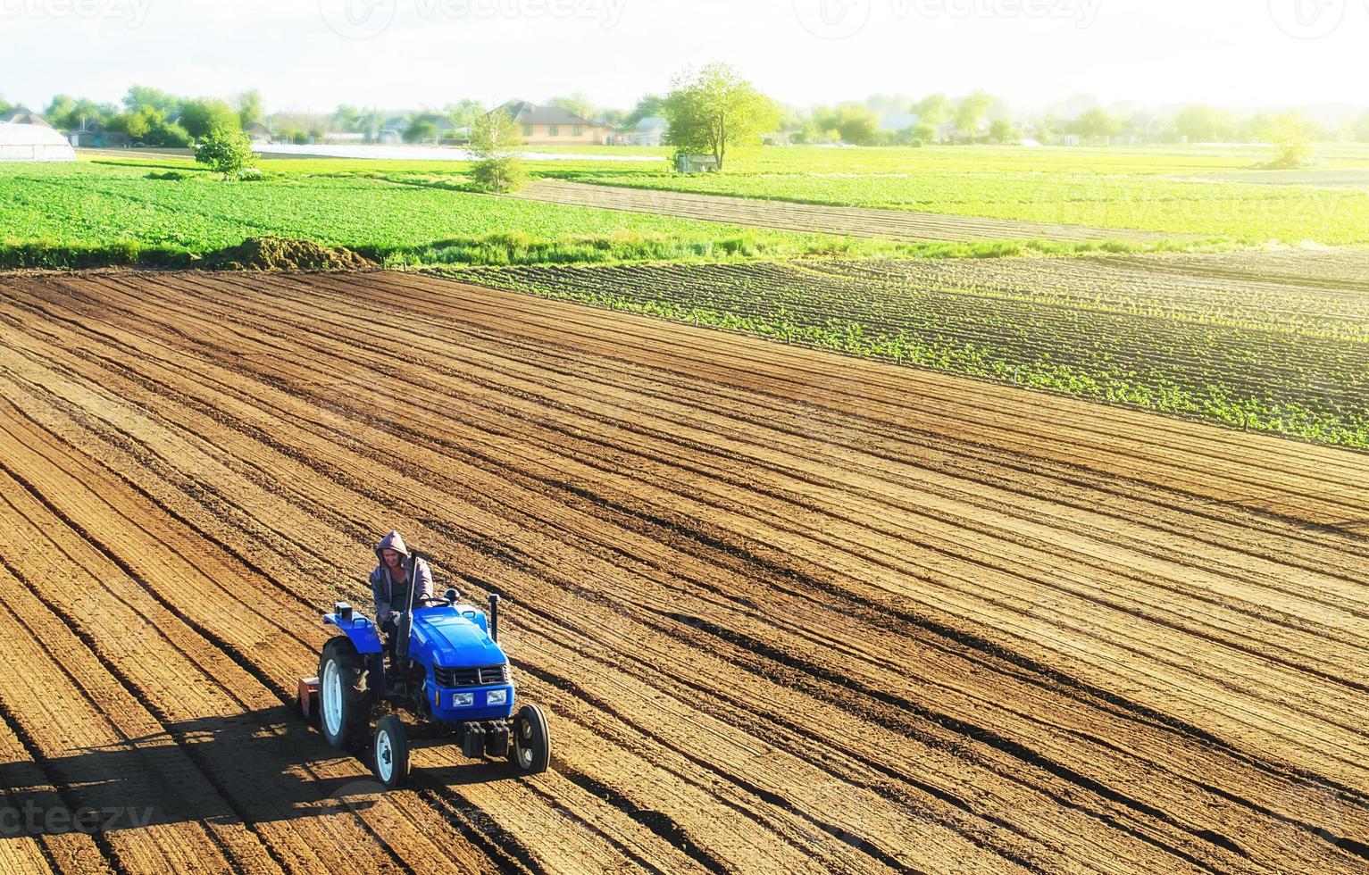Farmer on a tractor cultivates a farm field. Grinding and loosening soil, removing plants and roots from past harvest. Cultivating land for further planting. Food production on vegetable plantations. photo