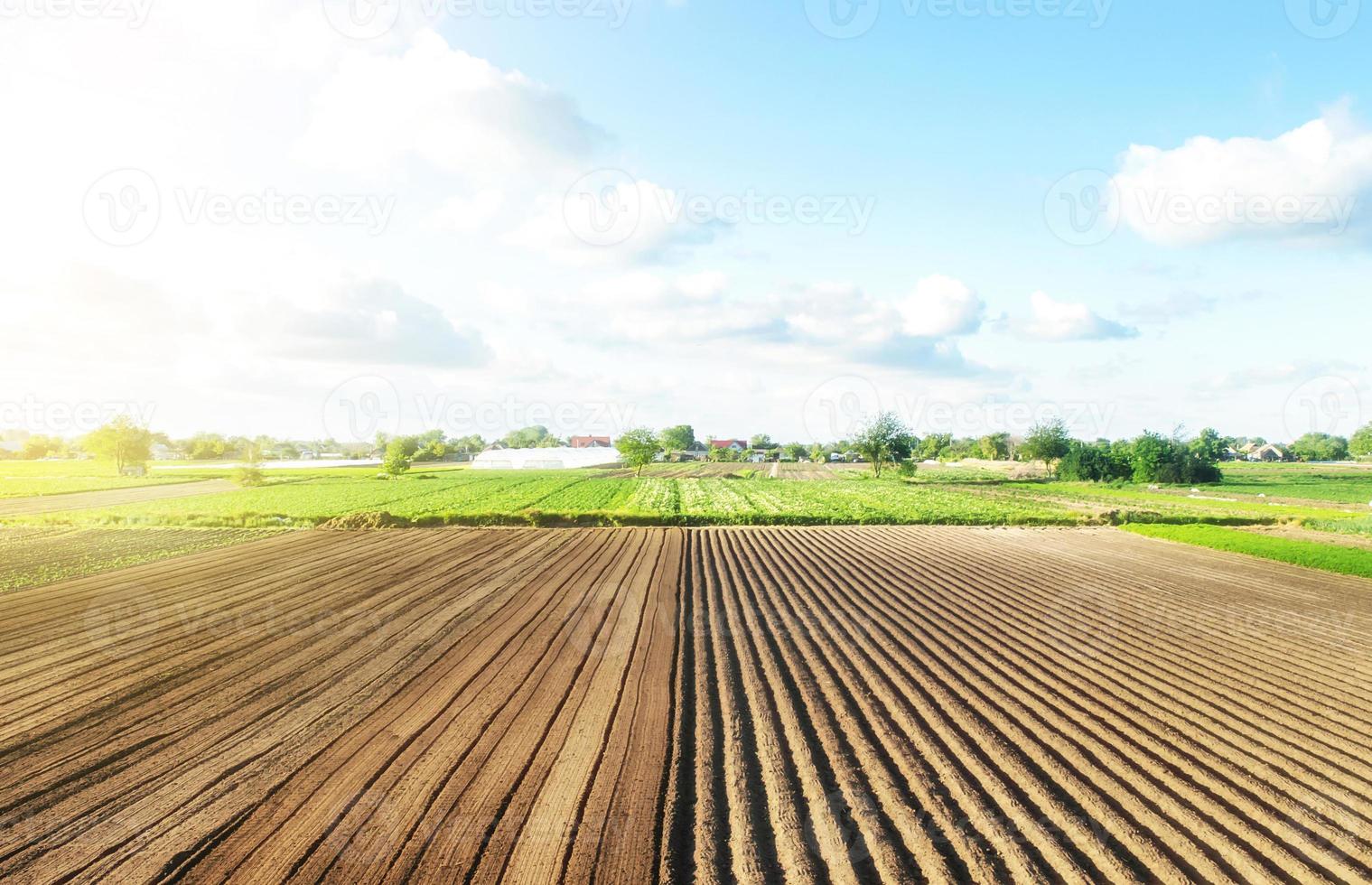 Farm field is half prepared Ridges and mounds for planting. Marking the field in rows. Agricultural technology and standardization. Organization and systematization. Beautiful landscape of plantation. photo