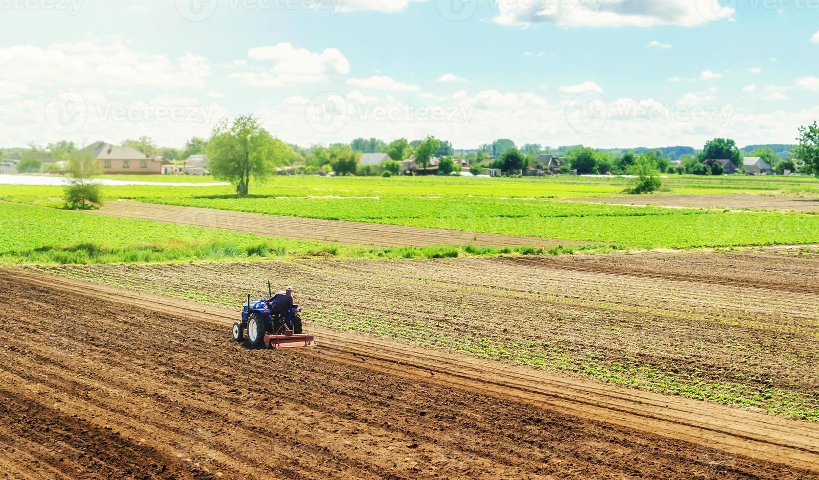 Farmer on a tractor with milling machine loosens, grinds and mixes ground. Cultivating land soil for further planting. Loosening, improving soil quality. Food production on vegetable plantations. photo