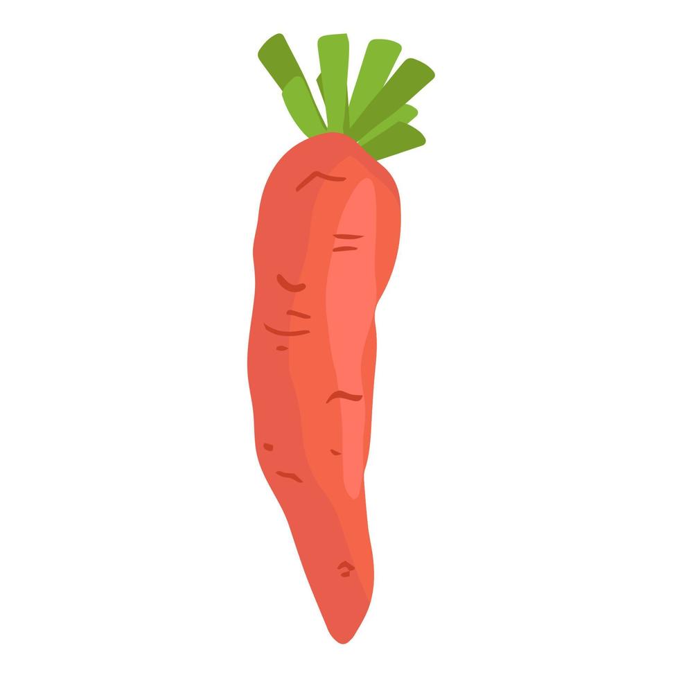 icono plano de zanahoria aislado en blanco. Dibujo a mano vector