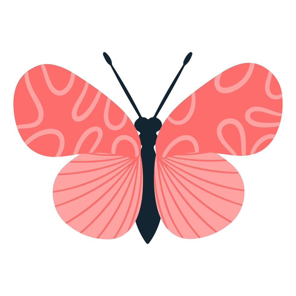 Tropical butterfly moth with multicolored wings and antennae isolated on a white background. Flying moth top view. An exotic spring insect. Vector illustration flat style