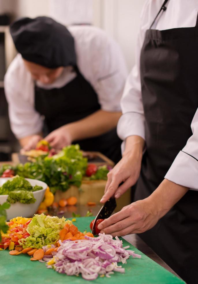 team cooks and chefs preparing meal photo