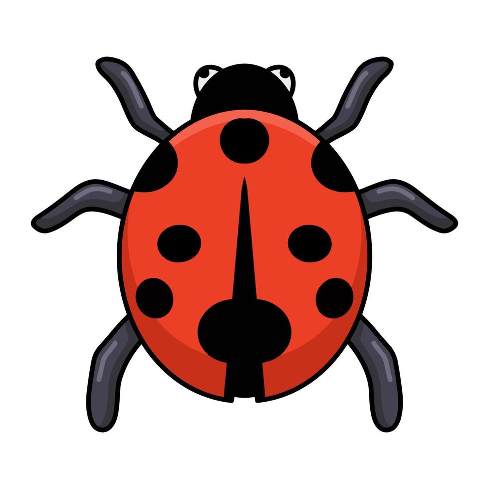 Cute little ladybug cartoon posing vector