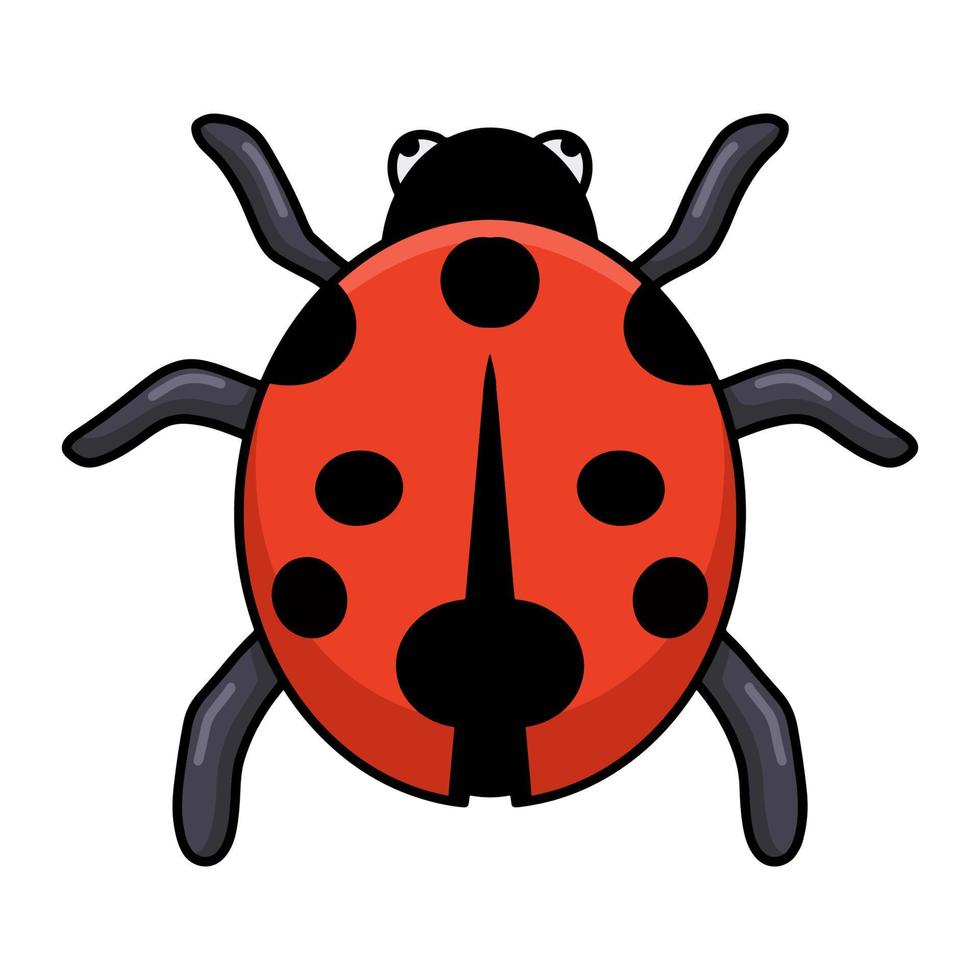 Cute little ladybug cartoon posing vector