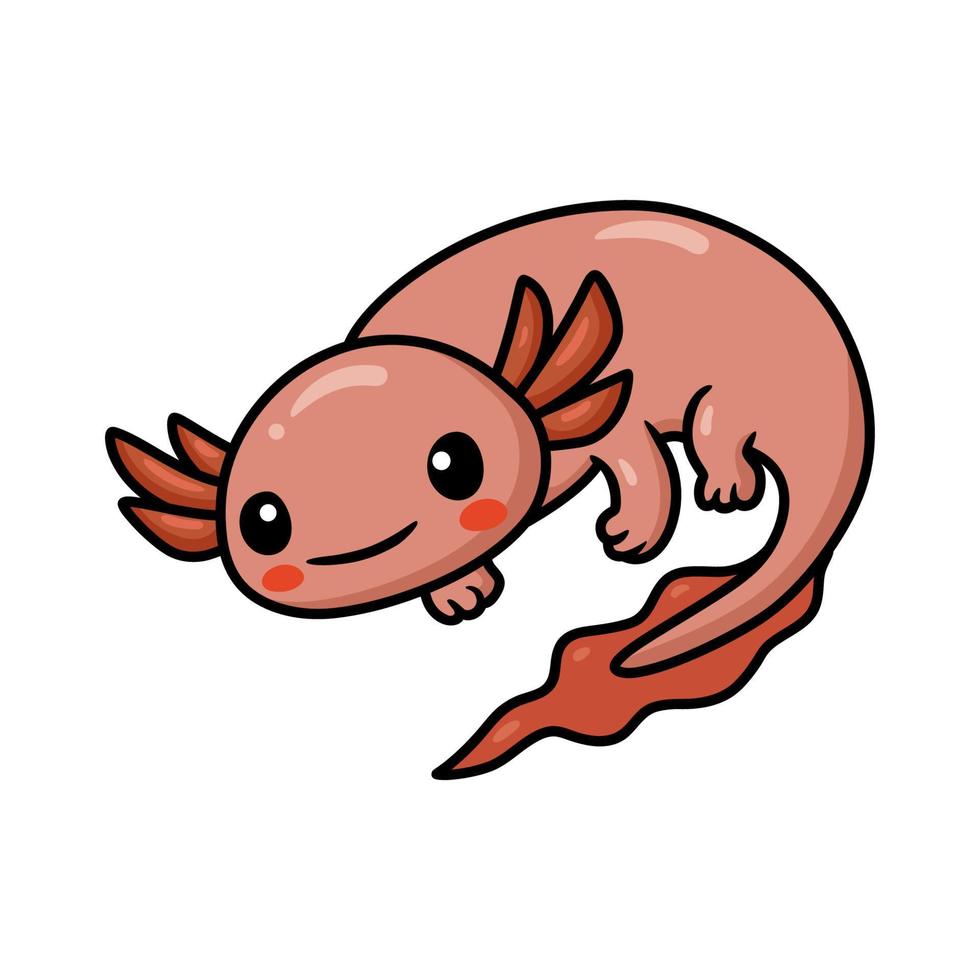 Cute axolotl cartoon vector illustration