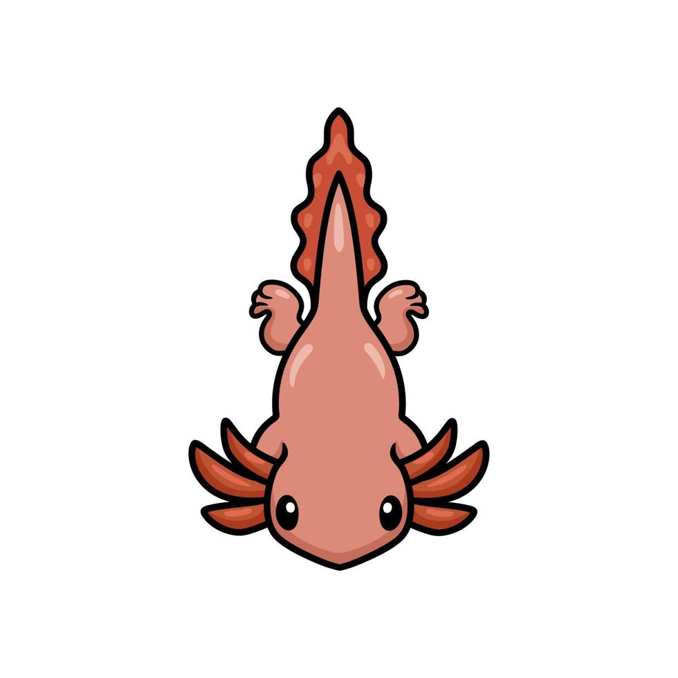 Cute axolotl cartoon swimming. Vector illustration