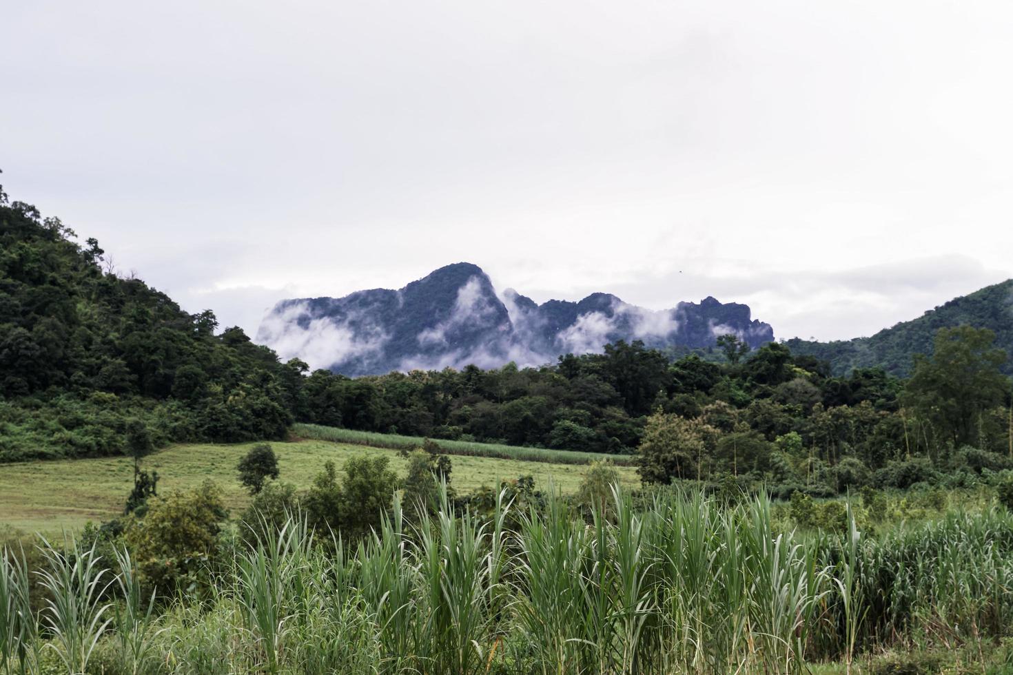 Mountains with morning fog look beautiful and peaceful in Phu Kradueng District of Thailand. photo