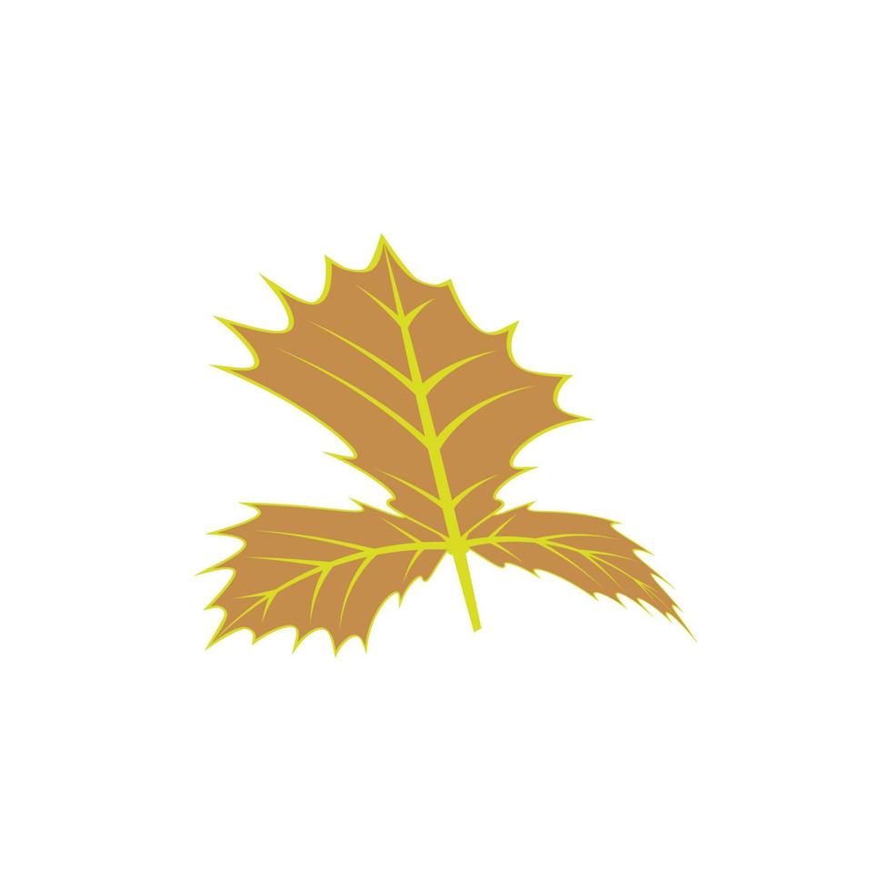 diseño de ilustración de icono de vector de plantilla de logotipo de hoja de arce