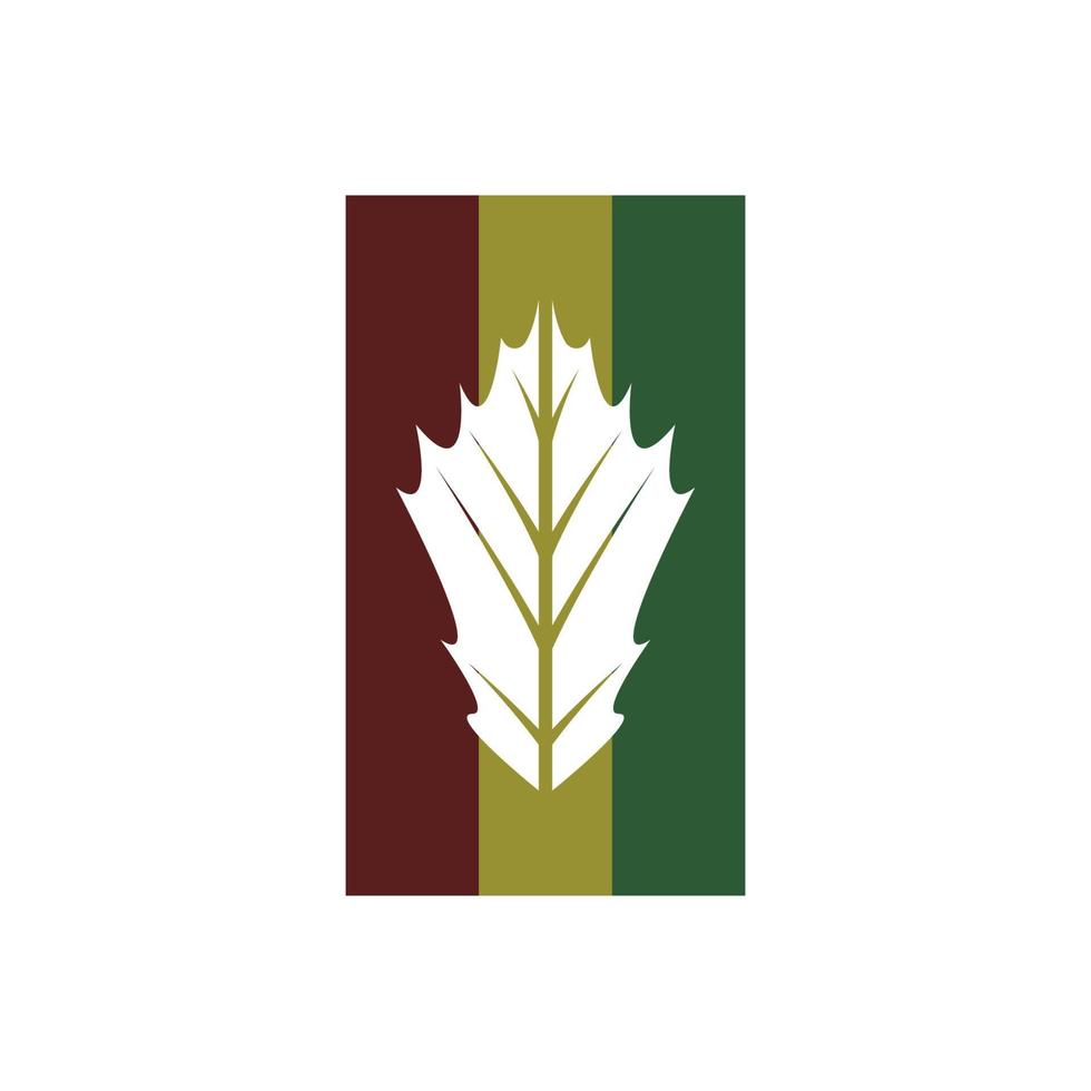 Maple leaf logo Template vector icon illustration design