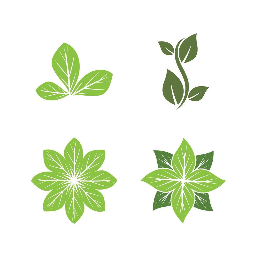 diseño de logotipo de naturaleza de ilustración de hoja verde vector